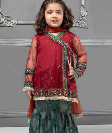 Maria 215-Kids Embroidered 3pc net dress with net dupatta.