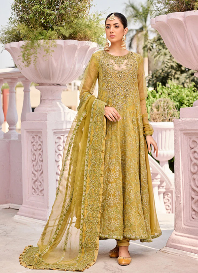 Organza Embroidered Adda Work Neckline